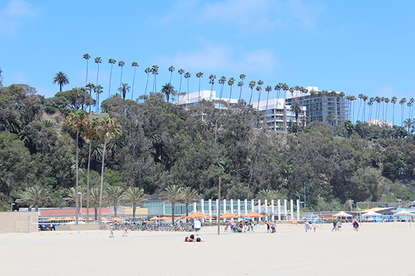 Santa Monica Beach Trees